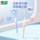 Black people's deep cleansing toothbrush family discount pack