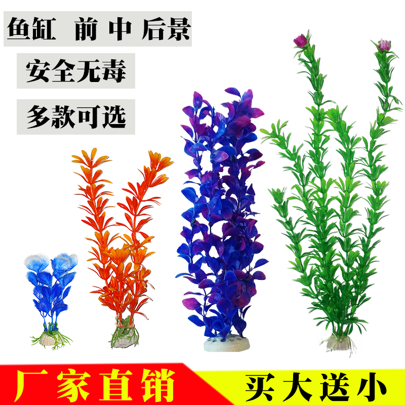 买水草 新人首单立减十元 21年8月 淘宝海外