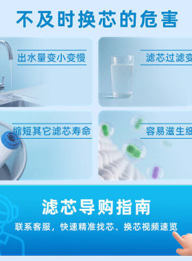 爱惠浦净水器滤芯家用商用