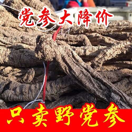 野生党参500g克特级干货纹党叁条甘肃中药材当参片旗舰店正品煲汤 - 图1