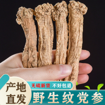 Wild Dangshen Dry Goods 500g Kut Grade Textured Party Three Strips of Gansu Chinese herbal medicine When it is ginseng Angelica Tablets Bubble Water