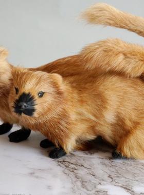 堂口黄家真身黄皮子仿真黄鼠狼黄鼬橱窗摆设道具手工毛绒兔毛摆件