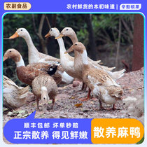 The sparkling duck whole is just fresh and smooth.