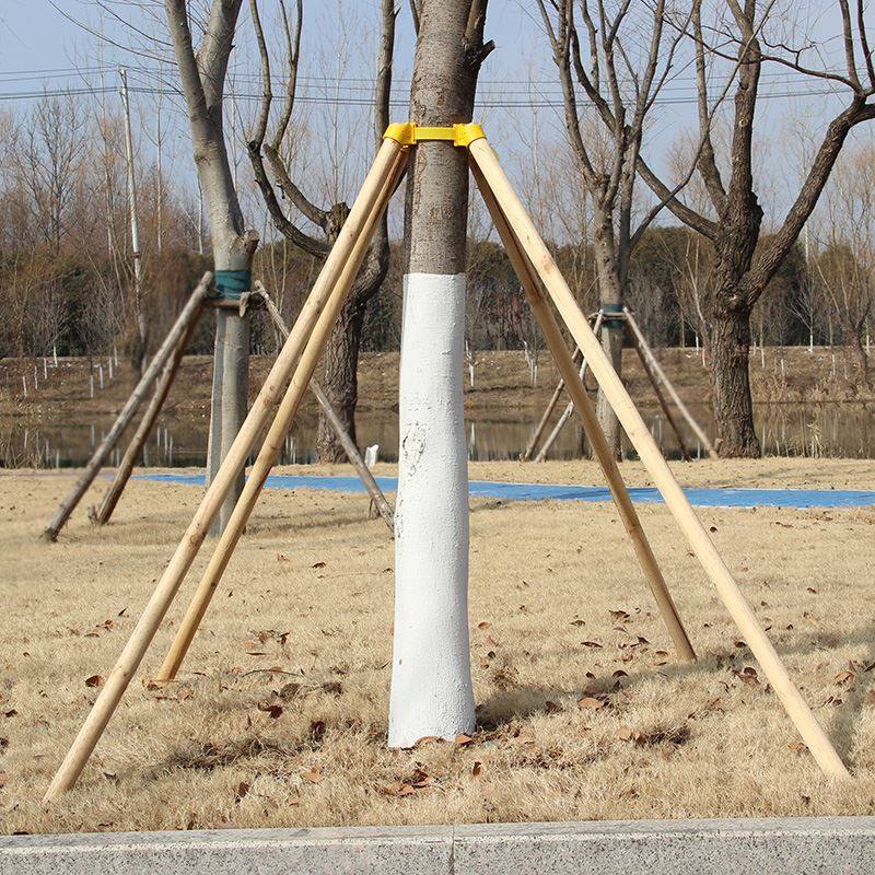 Tree support fixer Big tree support pole Wooden stick windproof triangle tripod landscaping supplies cup support
