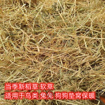 Straw Pet Mat Nest Dry Straw Dog Cat Chicken Duck Goose Rabbit Bird Winter Paving Heating Anti-Chill Soft Work Finishing)