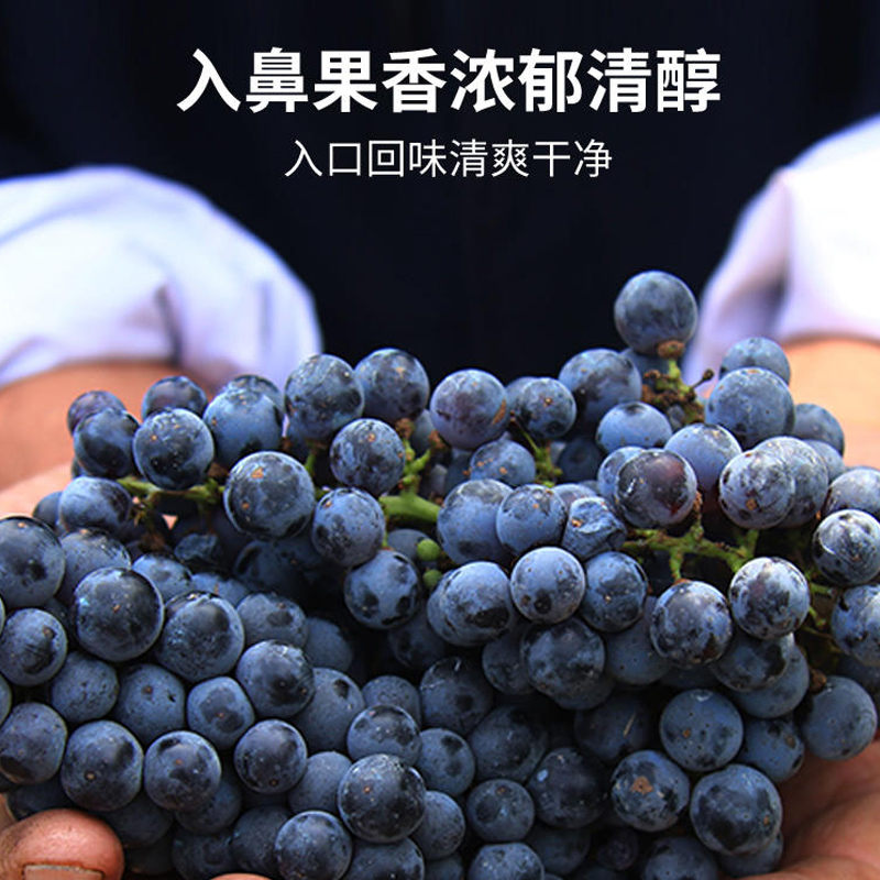 慕拉甜红葡萄酒红酒微醺女士甜红酒蓬莱产区优质晚收赤霞珠干红酒