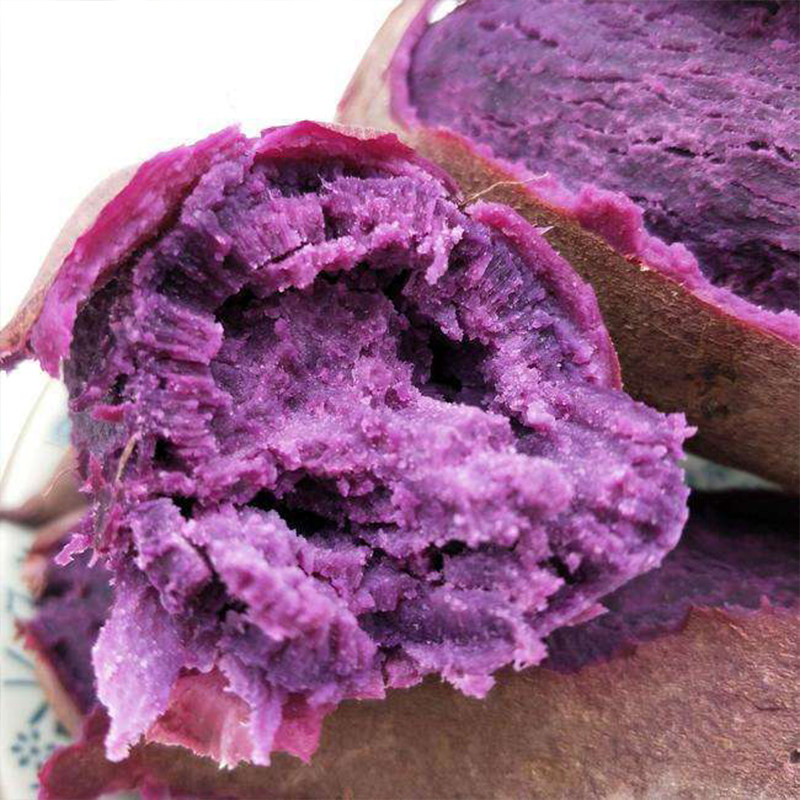 紫罗兰新鲜农家香薯糖心小紫心红薯 鲜宜芬番薯