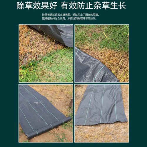 农用防草布除草布果园果树切片保湿耐用园艺抗老化遮盖草地布地丁 - 图1