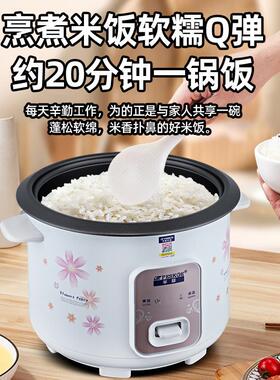 半球电饭煲家用小型2-4人