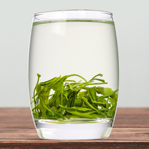 绿茶2026新茶浓香型日照充足高山云雾茶叶毛尖散装袋装500g抚月堂 - 图2