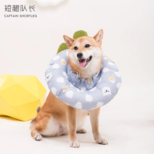 短腿队长 Собака Элизабет водонепроницаемый и широкопродажный футбольный круглый круг против кошачья кошка против