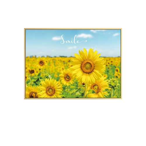 Магазин обратно, прошел мимо тысячи трехлетних магазинов 5D Diamond Painting Sun Flower Plainte, Cross -Sitching Diamond Emelceery 2021 Full Diamond New