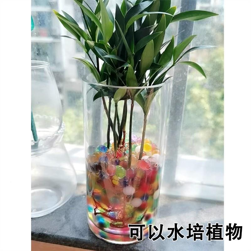 水宝宝具水精灵吸水珠珠水HOO晶珠生长豆海绵宝宝海洋玩生物球泡 - 图0