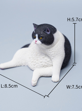 JXK16懒猫50模型可爱个性