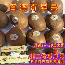 100 ZeXu Shangqi Exotic Fruits 16-20 Pregnant Women Fresh Fruits Shaanxi Brow County Ready-to-eat Chic Fruits Big Fruits