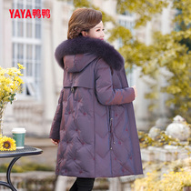 Duck Duck Middle Aged Mother Down Clothes 2023 New Winter Dress Seniors Woman Middle Aged Lady Big Code Jacket for Old Age Girl