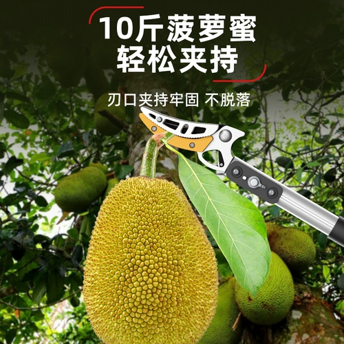Вода, выбирая фруктовые артефакты ветви, сдвиг, втягивание высокой высоты фруктовых ножниц и удлиняемого сборщика Lychee Lotus Roof Longan High Franch