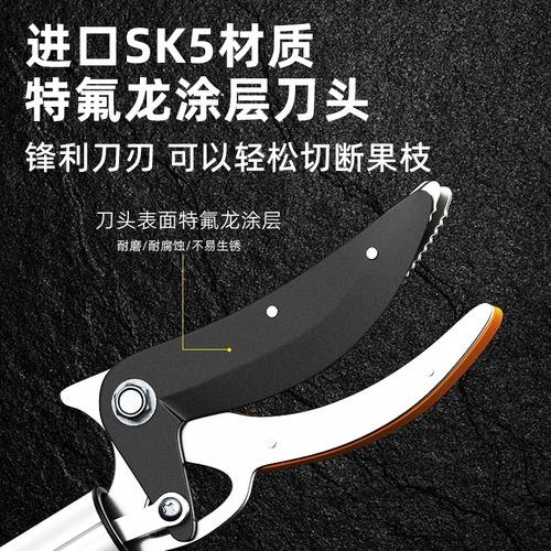 Вода, выбирая фруктовые артефакты ветви, сдвиг, втягивание высокой высоты фруктовых ножниц и удлиняемого сборщика Lychee Lotus Roof Longan High Franch