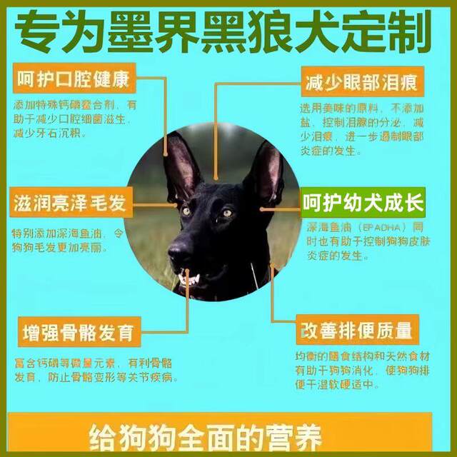 Black Wolf Dog ຫ້າຫມາສີດໍາພິເສດອາຫານຫມາສໍາລັບຜູ້ໃຫຍ່ການຫຸ້ມຫໍ່ຂະຫນາດໃຫຍ່ 40 Jin 10 Jin Puppy Dog Food Universal Large Packaging