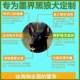 Black Wolf Dog ຫ້າຫມາສີດໍາພິເສດອາຫານຫມາສໍາລັບຜູ້ໃຫຍ່ການຫຸ້ມຫໍ່ຂະຫນາດໃຫຍ່ 40 Jin 10 Jin Puppy Dog Food Universal Large Packaging