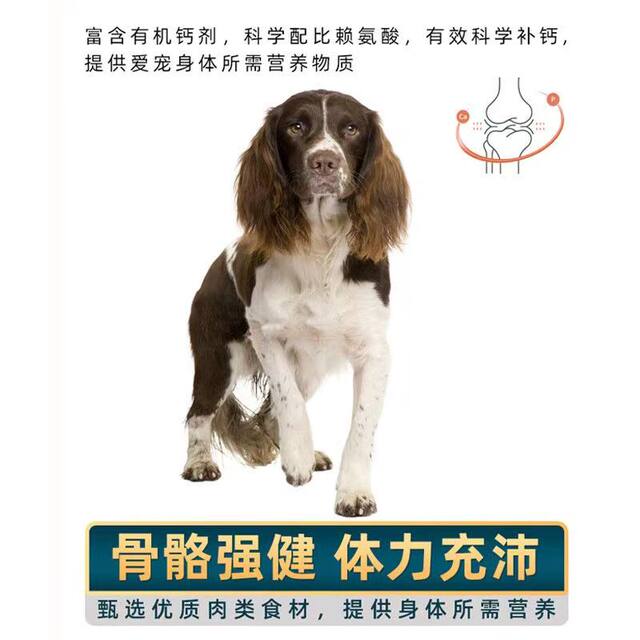 Springer Spaniel puppy adult dog 10 pounds dog food beef flavoral lactation large packaging universal home after the full moon