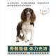 Springer Spaniel puppy adult dog 10 pounds dog food beef flavoral lactation large packaging universal home after the full moon