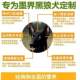 ຈີນ Mojie Black Wolf ຫມາອາຫານຫມາພິເສດຂະຫນາດໃຫຍ່ອາຫານຫມາ Puppy ຫມາອາຫານຂະຫນາດໃຫຍ່ບັນຈຸພັນ 40 Jin 10 Jin ລາຄາຖືກແລະທົ່ວໄປ