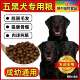 ອາຫານຫມາ 5 ກິໂລພິເສດອາຫານຫມາ 10 ກິໂລ 40 ກິໂລຊຸດໃຫຍ່ອາຫານຫມາສໍາລັບຜູ້ໃຫຍ່ອາຫານຫມາ puppy ອາຫານຫມາສີດໍາ full moon native dog domestic dog