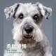 Schnauzer ອາຫານຫມາຊຸດໃຫຍ່ພິເສດ 10 ກິໂລທີ່ມີຄຸນຄ່າທາງໂພຊະນາການທີ່ສົມດູນທີ່ເຫມາະສົມສໍາລັບລູກຫມາແລະຜູ້ໃຫຍ່ໃນທຸກຂັ້ນຕອນລາຄາຖືກ Pass 2222