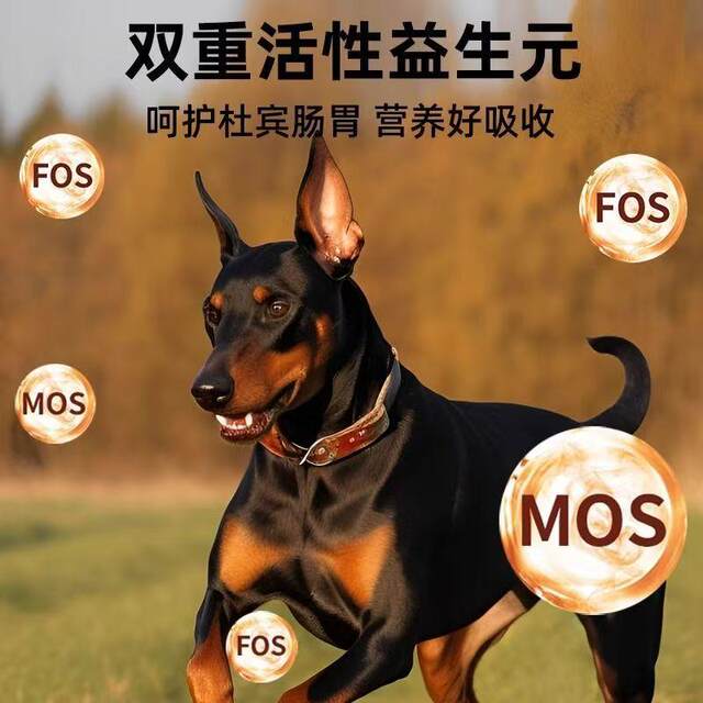 ອາຫານຫມາພິເສດສໍາລັບ Doberman Pinscher, ຊຸດໃຫຍ່, ອາຫານຫມາພິເສດສໍາລັບຫມາຜູ້ໃຫຍ່, 10 kg, 20 kg, 40 kg, ລົດຊາດຊີ້ນງົວທົ່ວໄປ