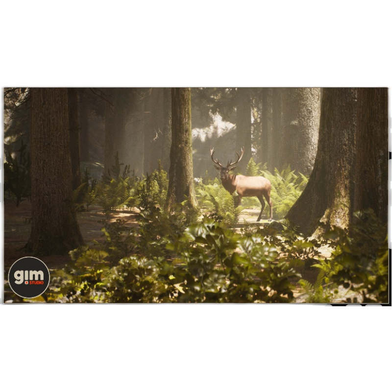 UE4红色麋鹿森林雄性UE5鹿动物 Animalia - Red Deer male - 图3