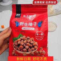 Northeast Teryield Iron Ridge New stock No Add to original flavor Delicious Crisp American Great Hazelnut Fresh Pregnant Woman Snacks Nuts