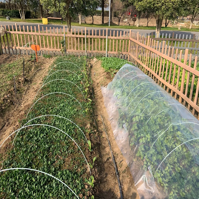 菜园保温棚 家用小型蔬菜大棚 家用蔬菜棚 种菜保温棚 蔬菜保温棚