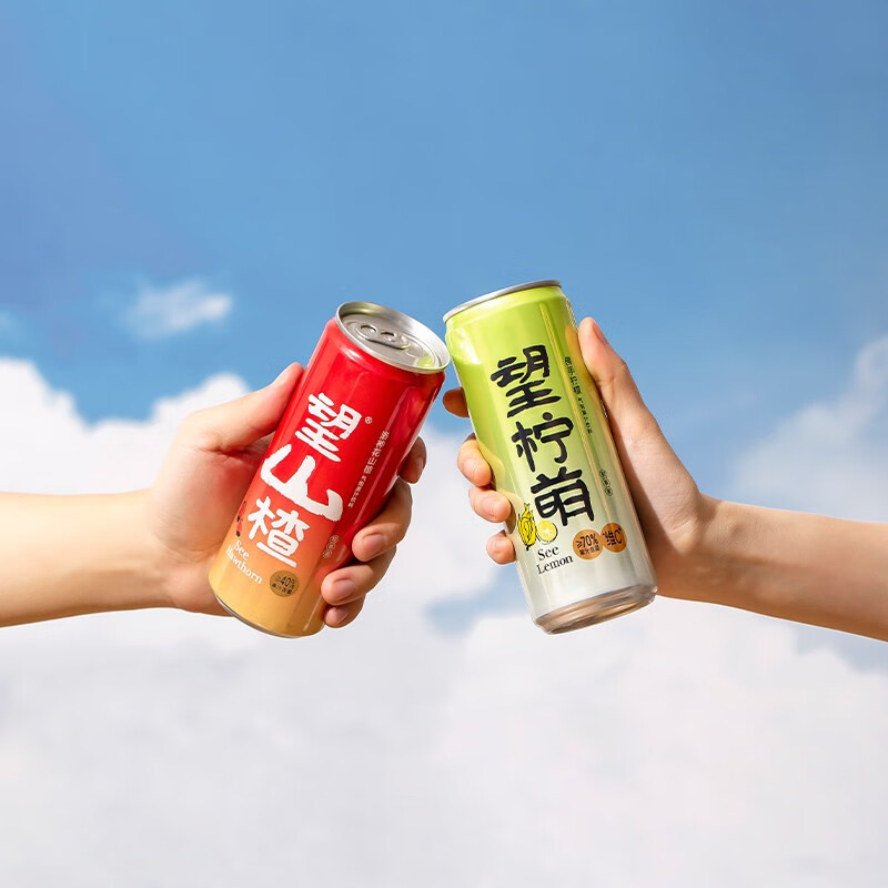 好望水山楂330ml罐装网红健康小望青柠檬果汁解腻气泡水碳酸饮料
