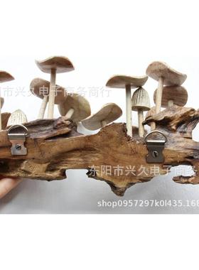 蘑菇树桩装工艺品仿真蘑菇平菇景观创意墙挂件装饰品摆件礼物