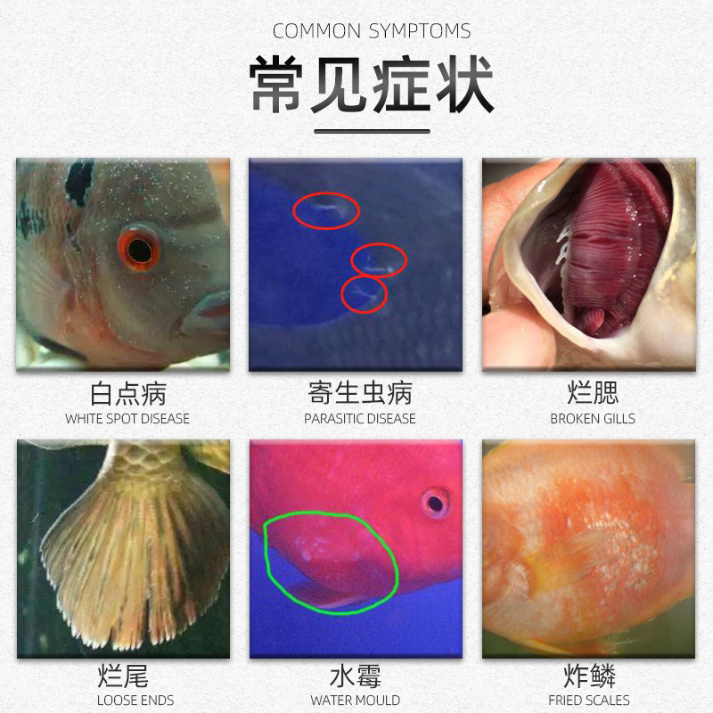 亚甲基蓝鱼药烂身烂尾水族鱼专用白点净专治水霉病鱼缸消毒杀菌药-图2