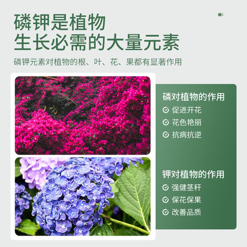 史丹利磷酸二氢钾复合肥花肥料家用盆栽通用花卉专用叶面肥磷钾肥 - 图0