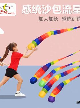 儿童流星球感统沙包感统沙包锻炼孩子手眼协调配合玩具体育器材