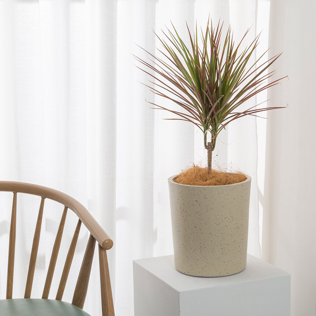 圆形水泥花盆镁泥花盆简约大口径INS北欧风落地盆栽水磨石花岗岩,淘宝优惠券,粉丝福利购,淘宝优惠卷