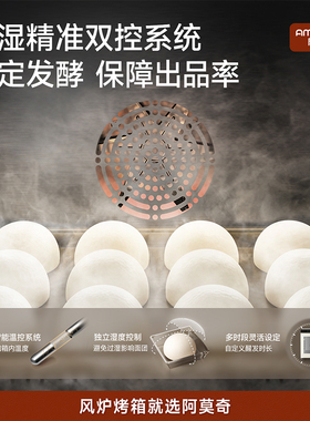 阿莫奇J115发酵箱商用115升