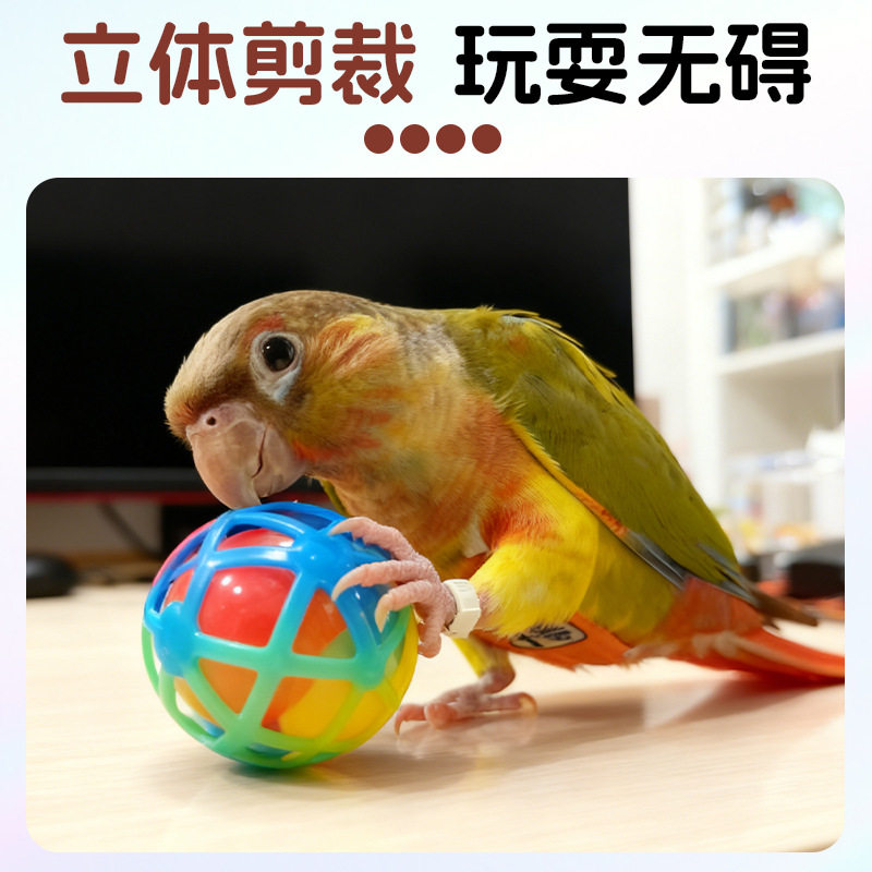图3