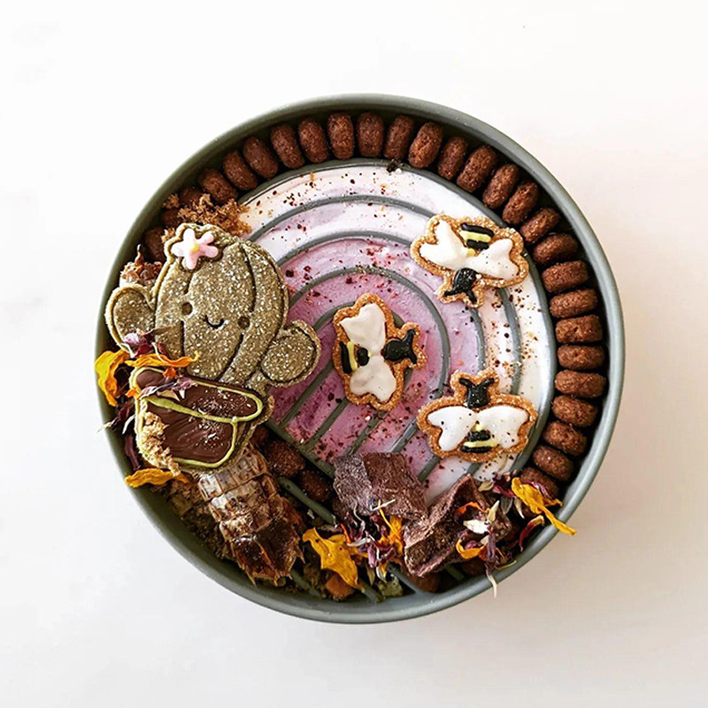 宠物硅胶慢食碗猫咪狗狗喂食碗舔食垫缓食益智丰容玩具吸盘防打翻,淘宝优惠券,粉丝福利购,淘宝优惠卷