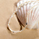 ARSIS sea shell bead necklace pendant clavicle chain
