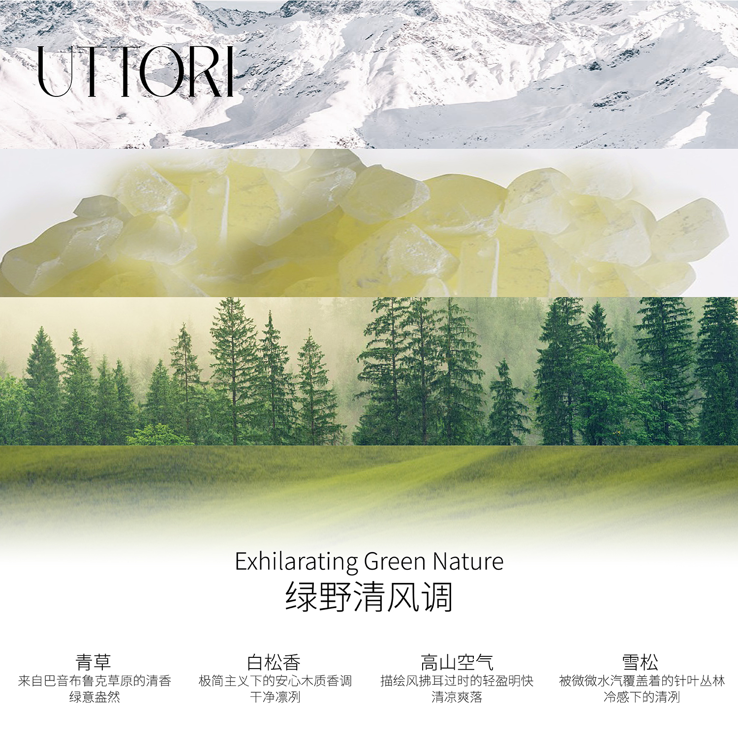 UTTORI五朵里风18/50ml香水草原绿色清新持久留香小众国货送礼-图0