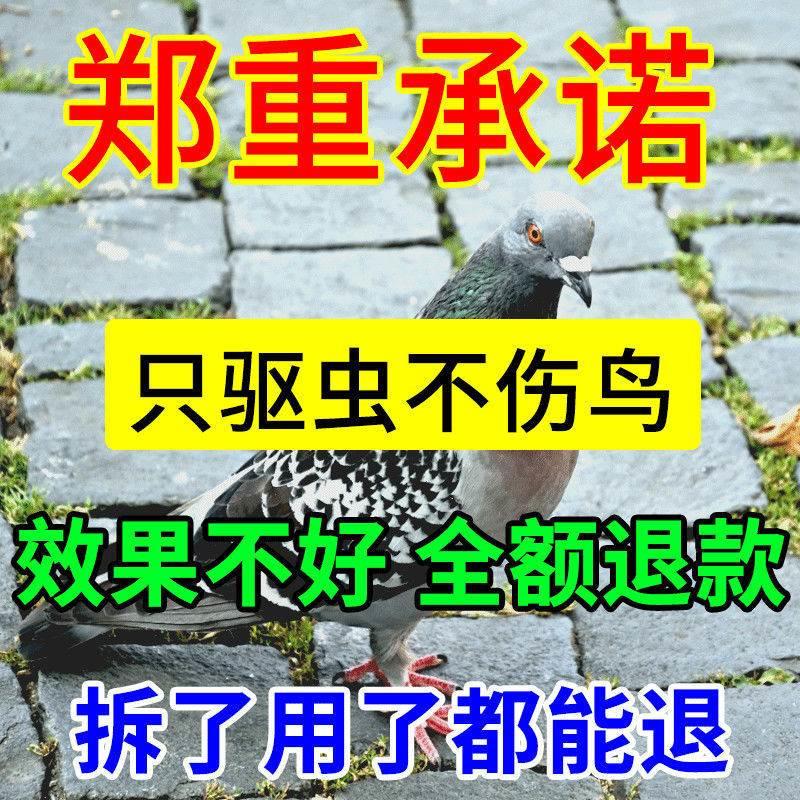 鸟外43522毛驱虫药鸽子常啄异常掉毛螨虫体虱子跳螨蚤一喷虱净清 - 图0