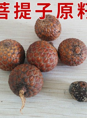 极速天然星月菩提子A++海南籽高B密顺白108颗佛珠手链原籽颗颗月