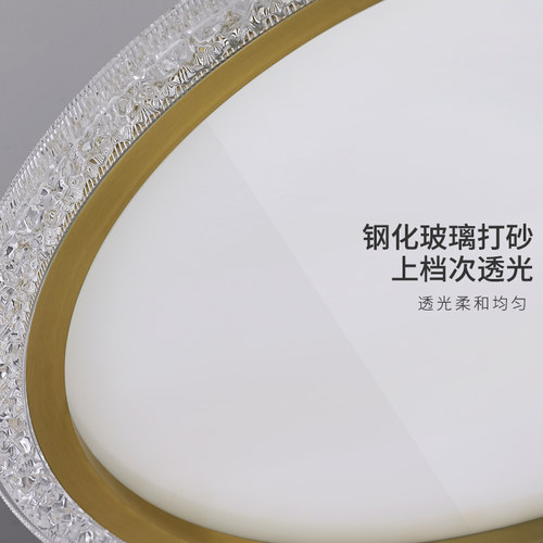 帕莎护眼客厅灯现代简约大气超薄主灯高亮led卧室吸顶灯中山灯具 - 图3