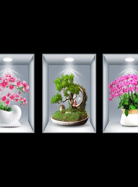新款3D立体效果盆栽贴画客厅三联装饰画出租屋过道楼梯墙面自粘画