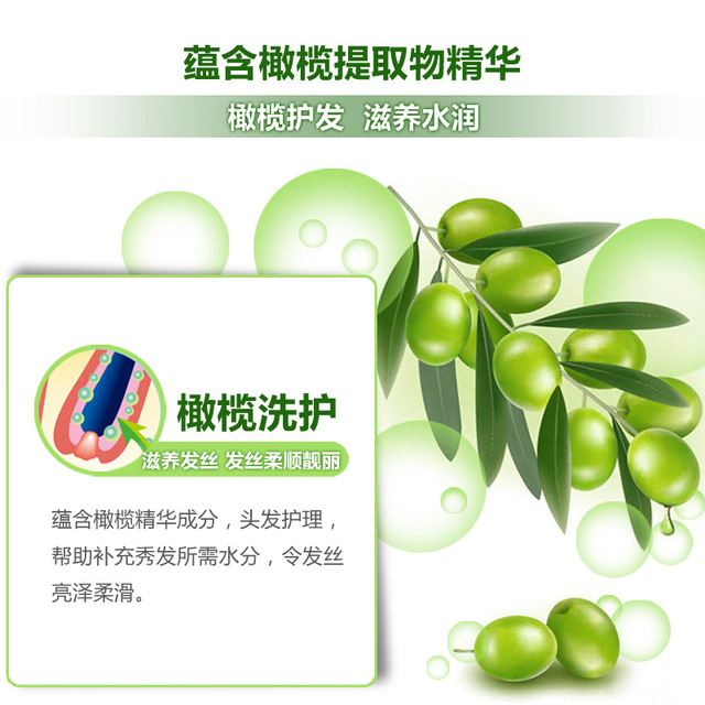 Olive Shampoo Anti Dandruff Anti-Itching HairScalp Treatment-图0