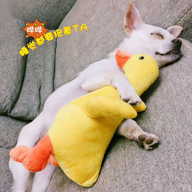 狗狗玩具发声耐咬毛绒中小型犬泰迪幼犬比熊柯基陪伴解闷神器磨牙